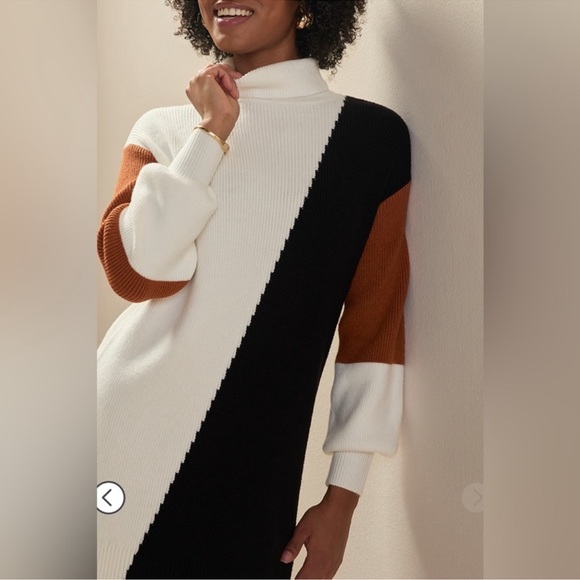 MIAMI by Francesca Colorblock Turtleneck sweater dress Women’s XL NWT NEW - Picture 3 of 12